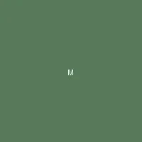 墨夜 (Midnight Ink) - 丝瓜视频 创作者头像